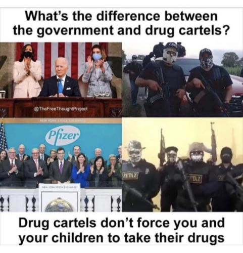 Screenshot_20241105_161352_Instagram