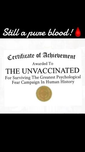 IMG_20241127_040046_270