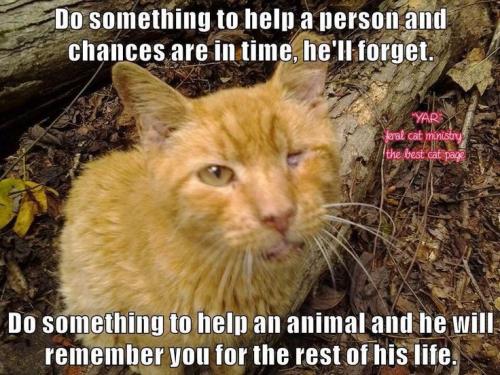 21e9076ab282a888bcc1c621a6c2f289