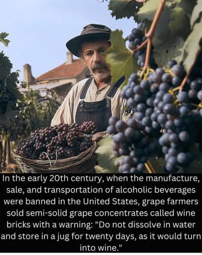 Screenshot_2024-11-25-08-18-31-27_a23b203fd3aafc6dcb84e438dda678b6