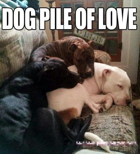 a2ae04fd285d7c309f9af5388eb92cfa