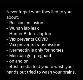 image_2024-11-24_100139704