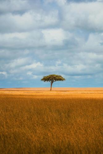 RDT_20241115_1927005418140059311878949