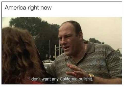 photo_2024-11-11_13-12-14