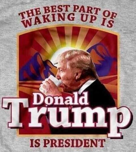 FB_IMG_1730897104540