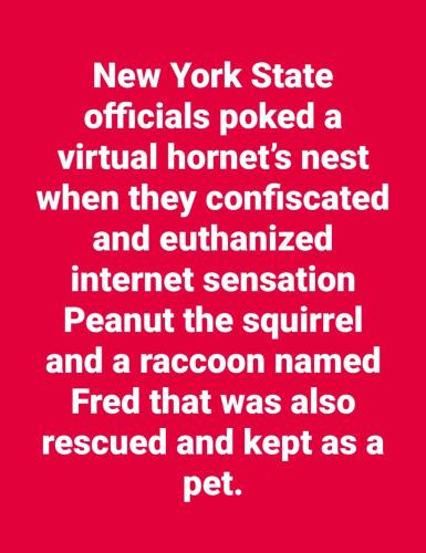 Screenshot_2024-11-03-21-32-33-21_a23b203fd3aafc6dcb84e438dda678b6