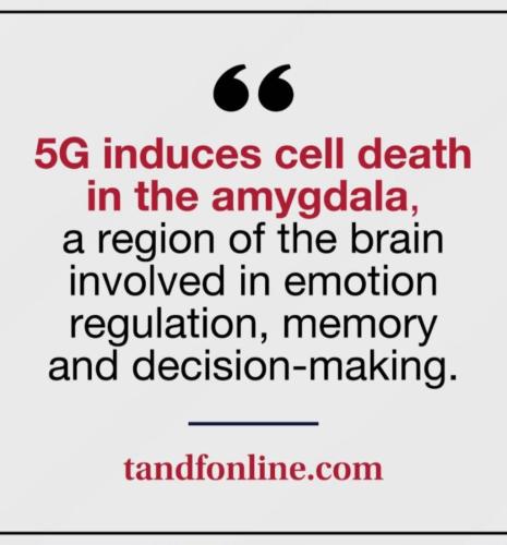 photo_2024-11-20_22-39-38