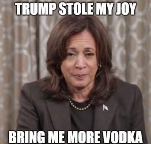 image_2024-11-29_082145914