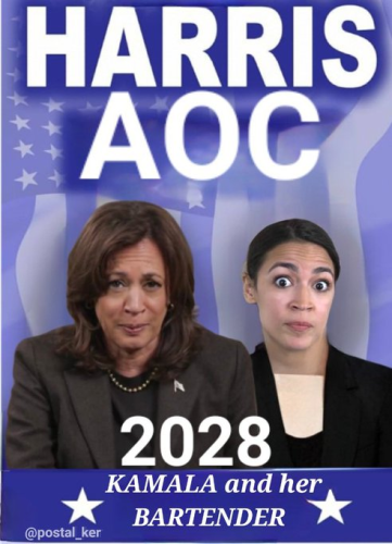 image_2024-11-29_185419564