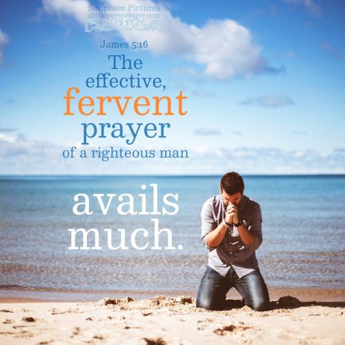 jam-5-16-NKJV-unsplash