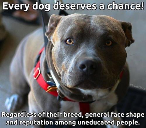 e845be8dff6e934a0f24eb79fe1cf51b