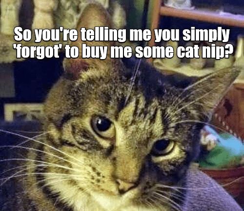 167680017f09038e5bfdd78daed33705