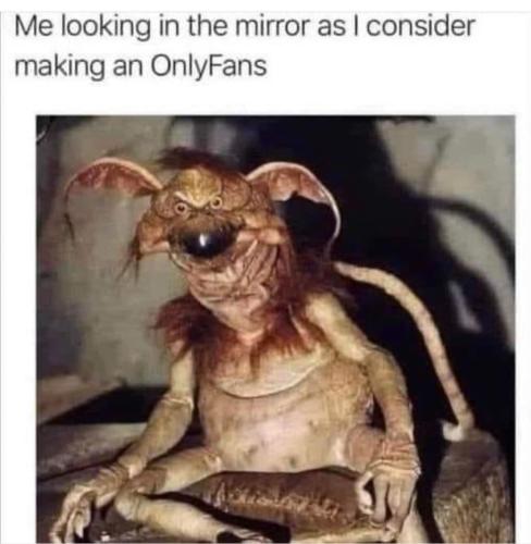 image_7C7942B3-91F5-40A8-A098-DED644C82E3D