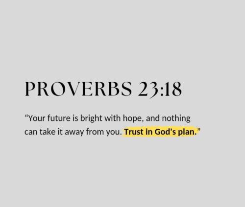 photo_2024-11-30_13-49-12