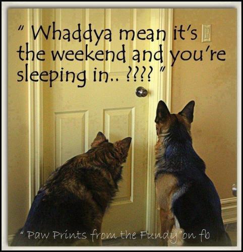 6abde10280c435b6ff414a48eba4f254