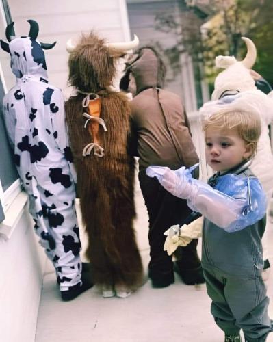 8f55cc5a-0f00-4715-a6f1-504ba0a91a5f