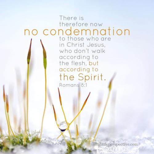 rom-8-1-WEB-pixabay-9xSP