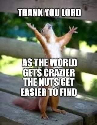 501DA573-7950-4CE4-9270-07ED700329F1