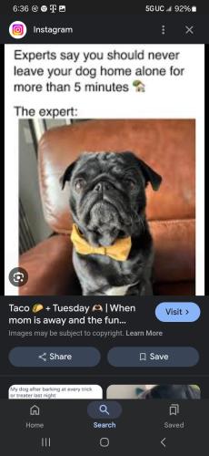 Screenshot_20241112_063639_Google