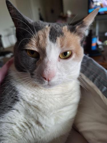 28cf3813-ca00-4cd7-af42-e5da700b5109