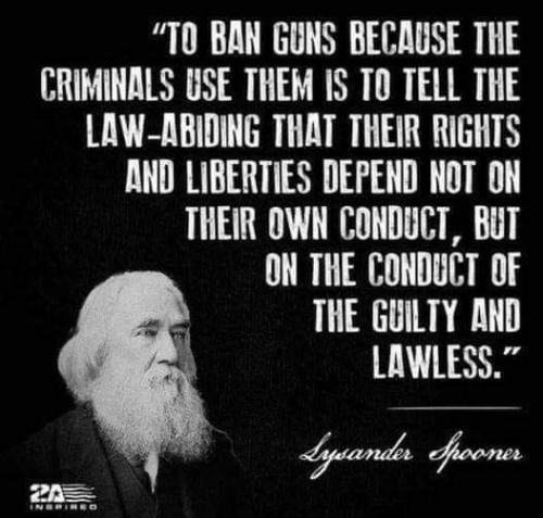 image_2024-11-05_062529548