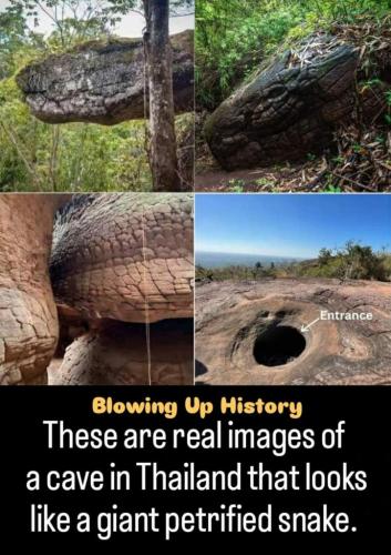 2d8577ba-dc7a-44d9-a7cf-907377851977