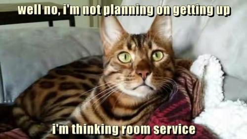 b5bd3a5d393e67e37bdcfd46a283b7a4