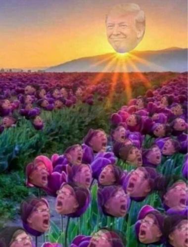 Messenger_creation_82ABAE18-8F28-4BD4-A42C-9040C2B41AC2