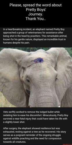 5809219d92287df8bc305546771b620ca7f4319cb965916f2799afd42b49cbd8_1