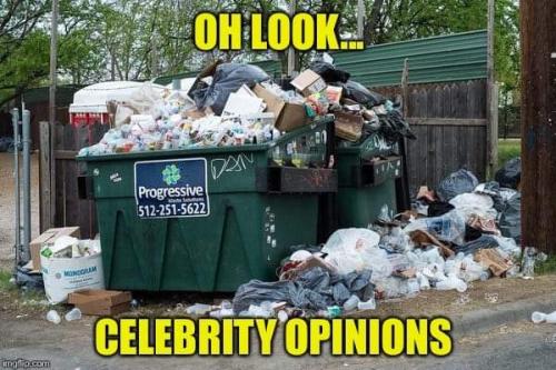 celebrity opinions