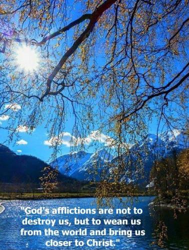 6e55f629-5672-4d4d-a5d1-094f9d55828a