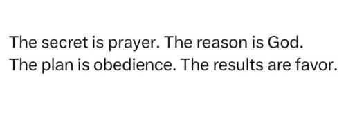 photo_2024-11-14_15-02-58