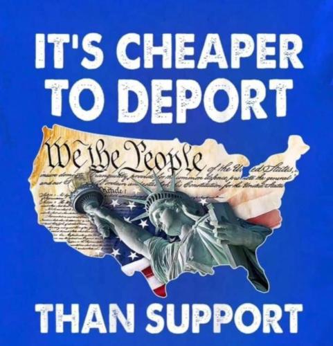 photo_2024-11-15_20-35-27