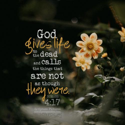 rom-4-17-NKJV-unsplash