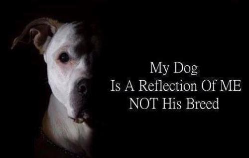 a71d28c1d5758f487011655b9b5dc4b1