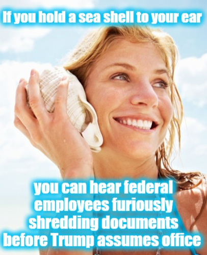 image_2024-11-14_062923209