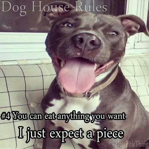 4551ffe8d9eb16b4b6d6ac423f73c1b3