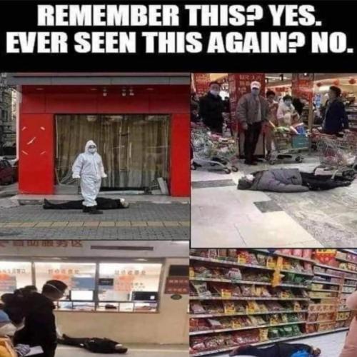 photo_2024-11-29_15-35-20