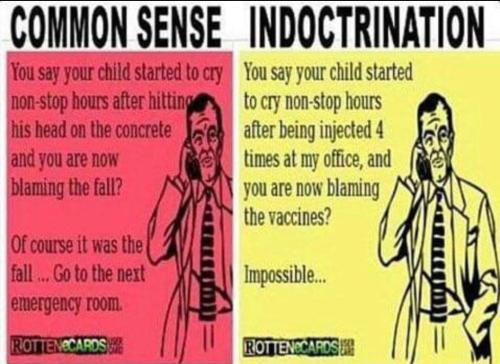 common sense v indoctrination