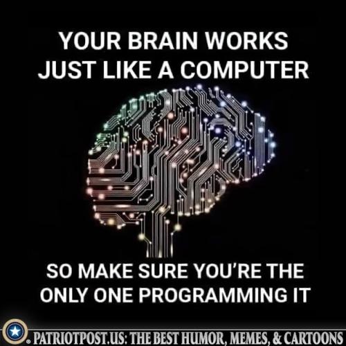 01JCPXNA9QM4WQBR8EW7XTSNGG