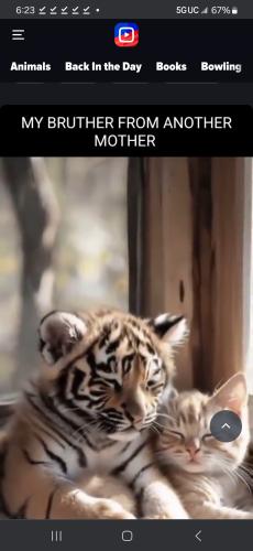 Screenshot_20241108_182306_Chrome