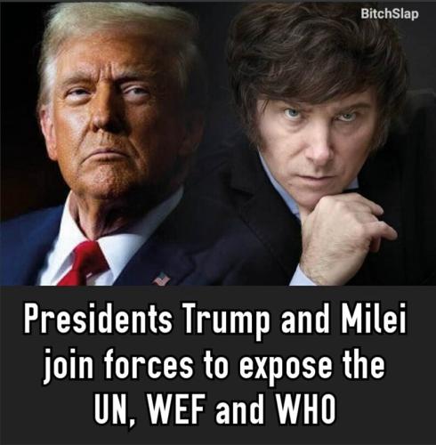 8f9b7377-87a5-4a03-9432-d6de008a8ac3