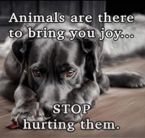 4b6d322b990a83a58787f43ff516d932