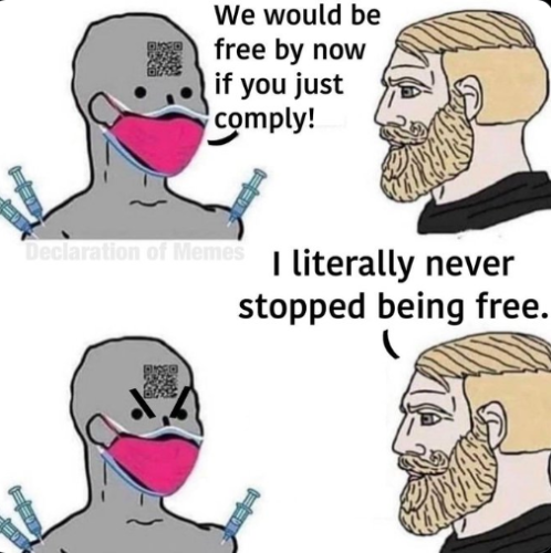 Screenshot 2024-11-15 145634