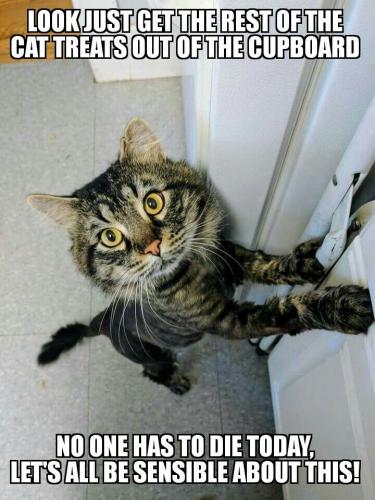 fe8c2731fbd9be7baf4eb88971c7aed0