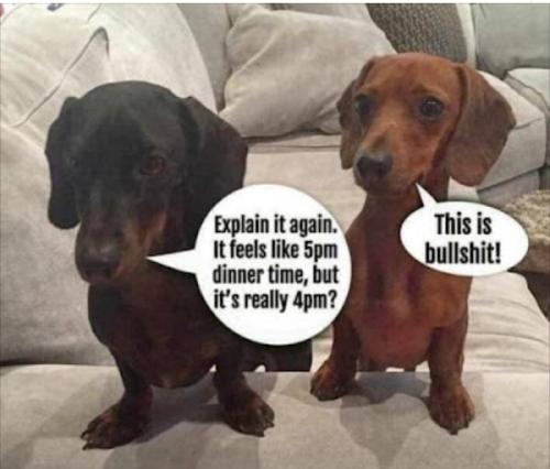 Screenshot_2024-11-05-06-57-17-51_97a2cc1df75455058e89d0e079c79104