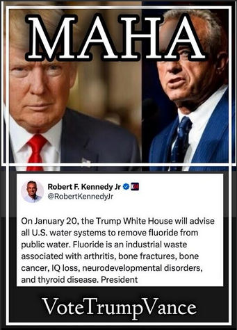 robert f kennedyjr14