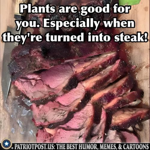 01JBJTCNC0V8ZYBY47D7RCXHGD