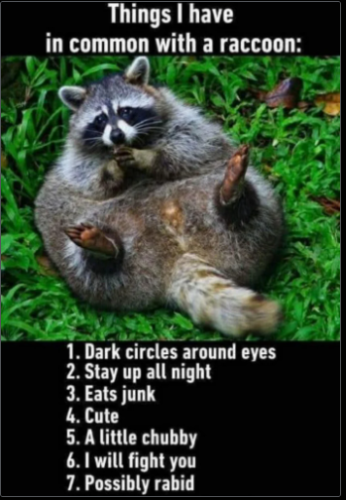 Screenshot 2024-11-23 211649