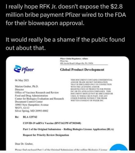 photo_2024-11-16_16-27-31